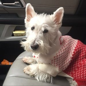 Meet your Posher, Jordan